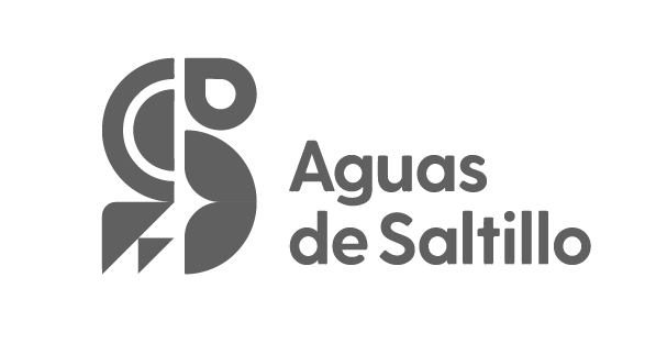 10-Agua de Saltillo